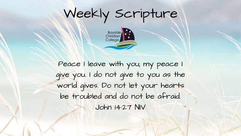 Weekly Scripture