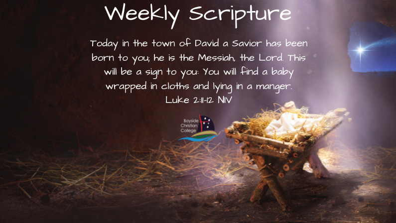 Scripture graphic Luke 211-12 NIV