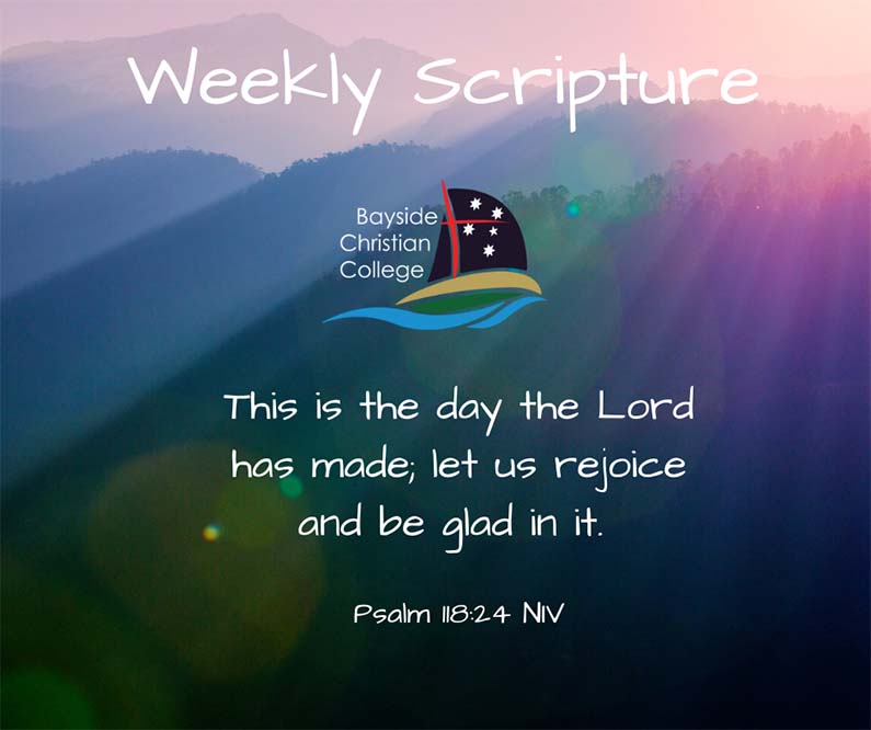 Weekly Scripture Psalm 11824 NIV
