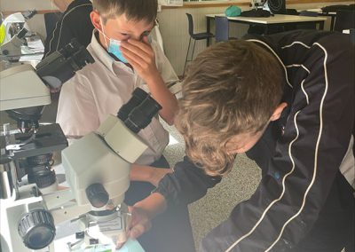 Year 8 Science