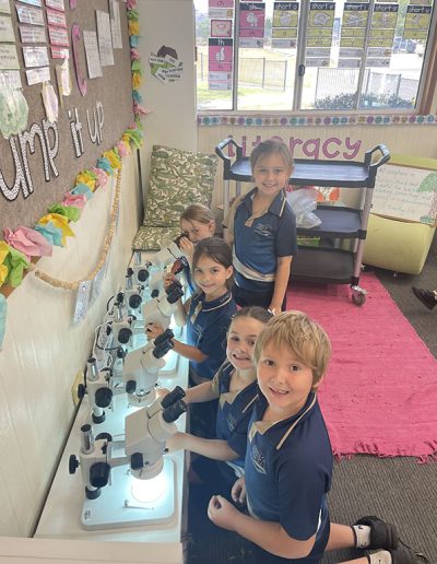 Year 1 Science