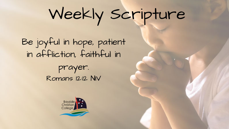 Weekly Scripture